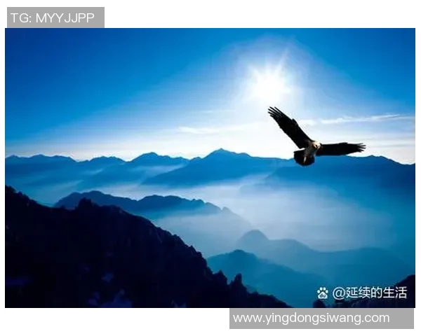 飞翔的足球巨星如同鸟儿翱翔在绿茵场上展翅高飞