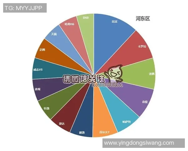 独家分析：武汉足球队的团队协作对比