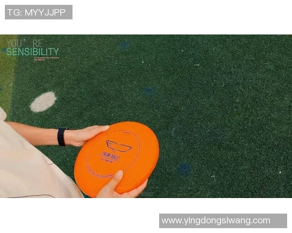 飞盘深度：解密武汉飞盘队的转换